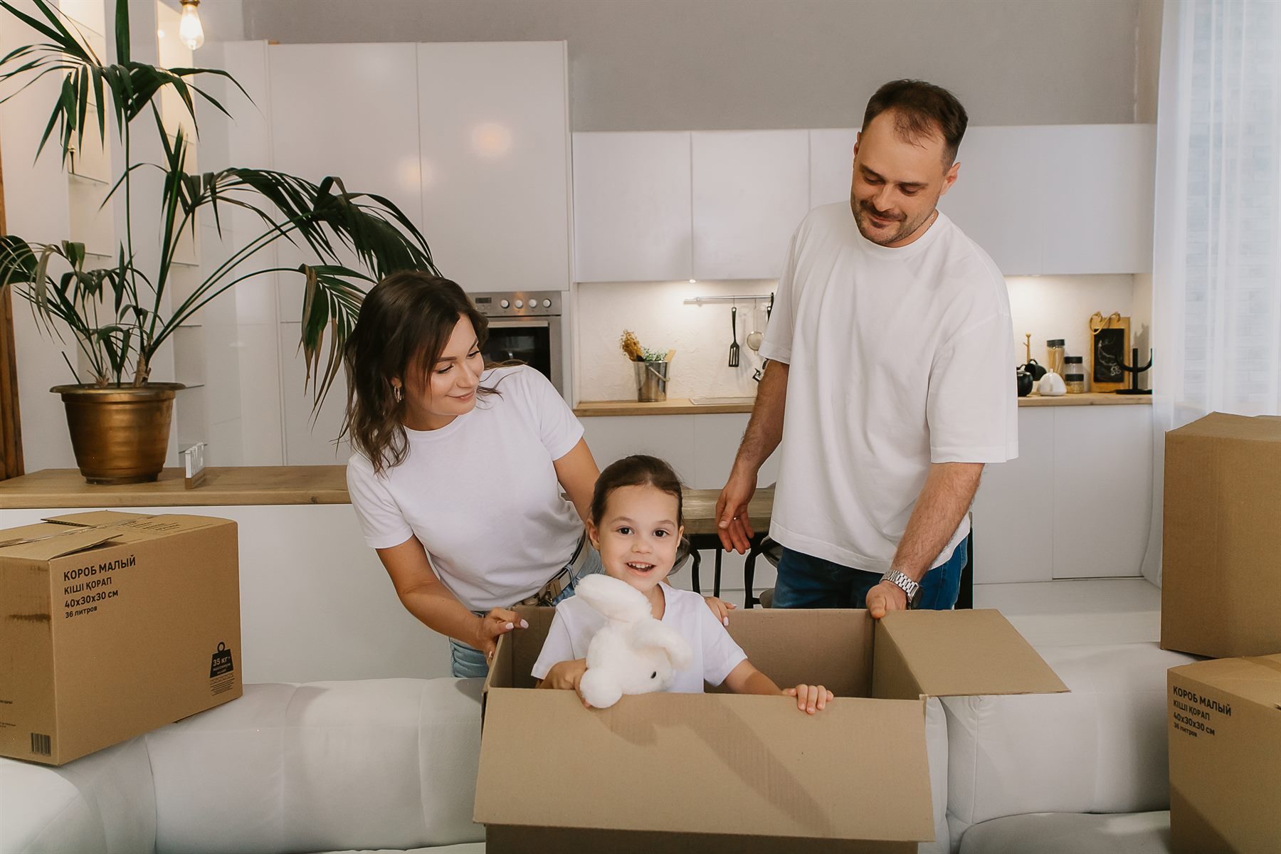 Перевозка отдельным автомобилем — Магистраль